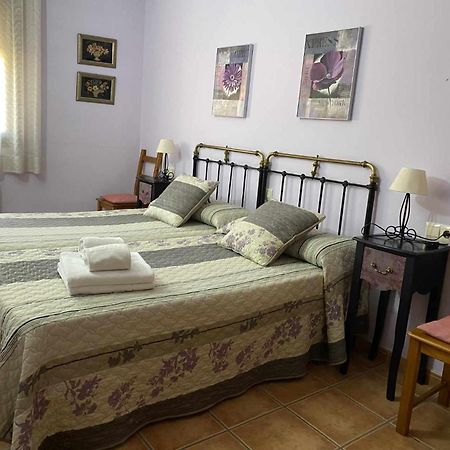 Apartamentos Casa Lola Rodeados De Montanas Y Rios Beceite Zewnętrze zdjęcie
