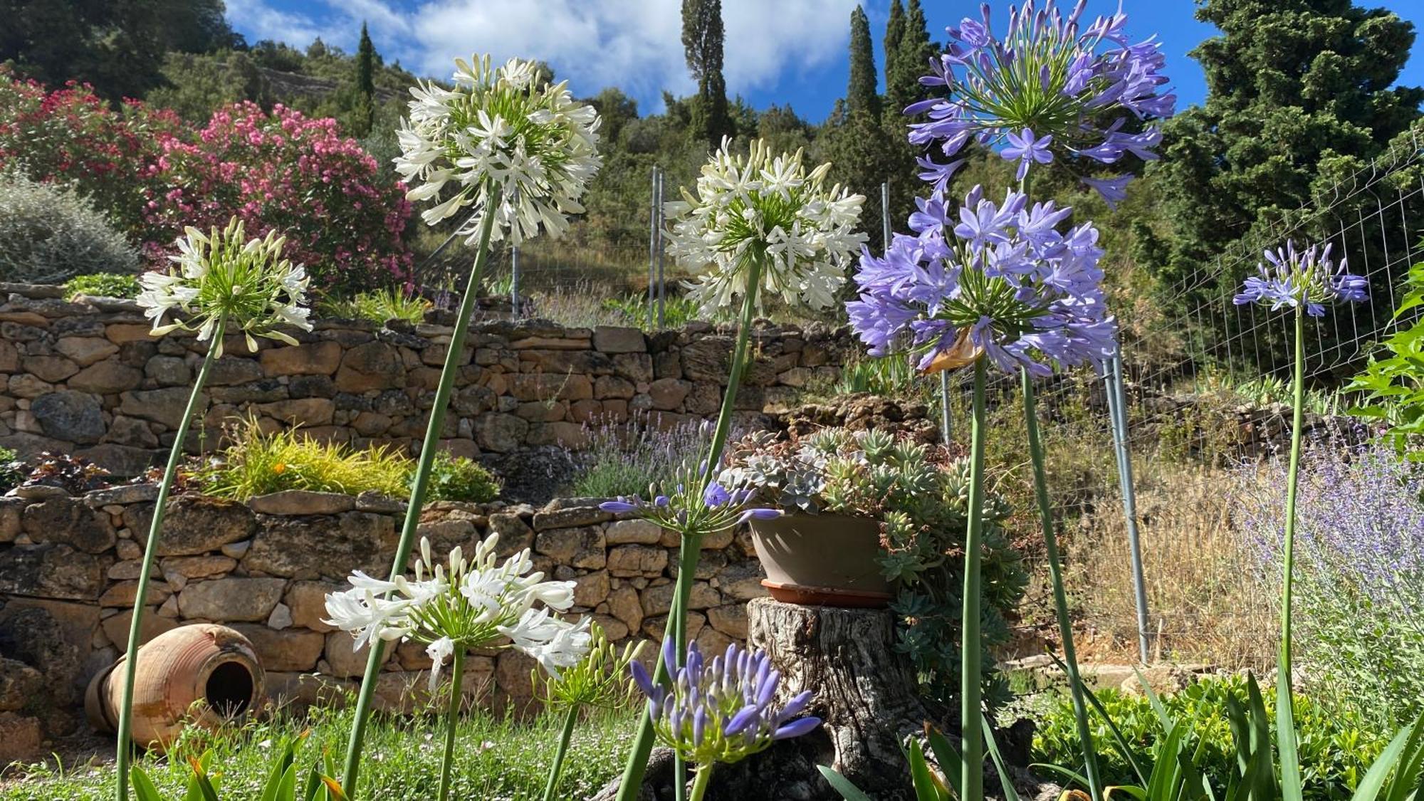 Apartamentos Casa Lola Rodeados De Montanas Y Rios Beceite Zewnętrze zdjęcie